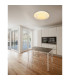 Rada Decorative Flush Ceiling Light White LED Dimmable 3000-6000K Remote Control Tuya Smart-9