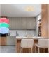Klemens Patterned Glass Flush Ceiling Light White 1x RGB LED Dimmable 3000-6000K Remote Control-12