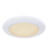 Rava Patterned Glass Flush Ceiling Light White LED Dimmable 3000-6500K Remote Control-10