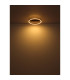Luffy LED Integrated Floor Lamp Matt Black LED 3000K-6