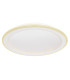 Tini Integrated LED Semi Flush Ceiling Light White 1x RGB LED Dimmable 2700-6000K Remote Control-17