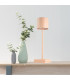 Lennart Integrated LED Table Lamp Champagne Colored Matt IP54 LED-3