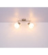 Willy Twin Ceiling Spotlight Nickel Matt Clear Glass Shade 2x E27-9