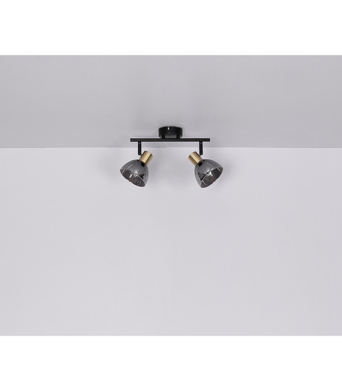 Jay Twin Ceiling Spotlight Black Glass Shade 2x E14-8