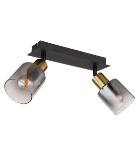 Hollsy Twin Ceiling Spotlight Matt Black Smoke Glass Shade 2x E14-2