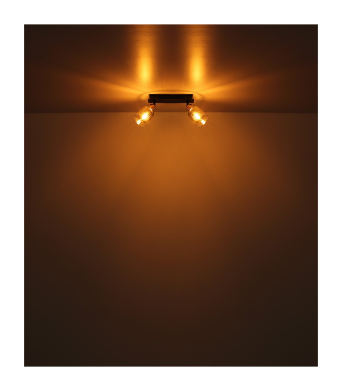 Hollsy Twin Ceiling Spotlight Matt Black Smoke Glass Shade 2x E14-7