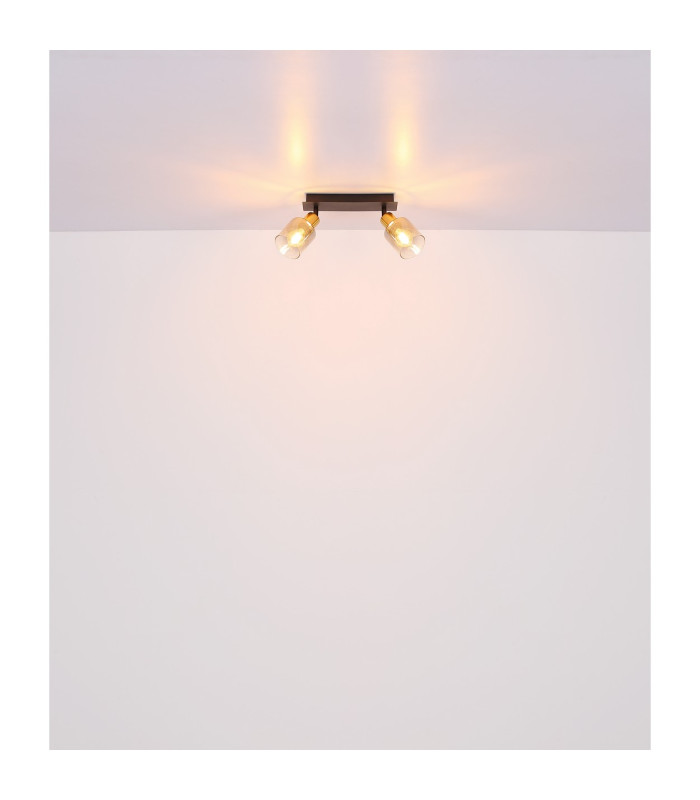 Hollsy Twin Ceiling Spotlight Matt Black Smoke Glass Shade 2x E14-8