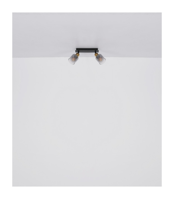 Hollsy Twin Ceiling Spotlight Matt Black Smoke Glass Shade 2x E14-9