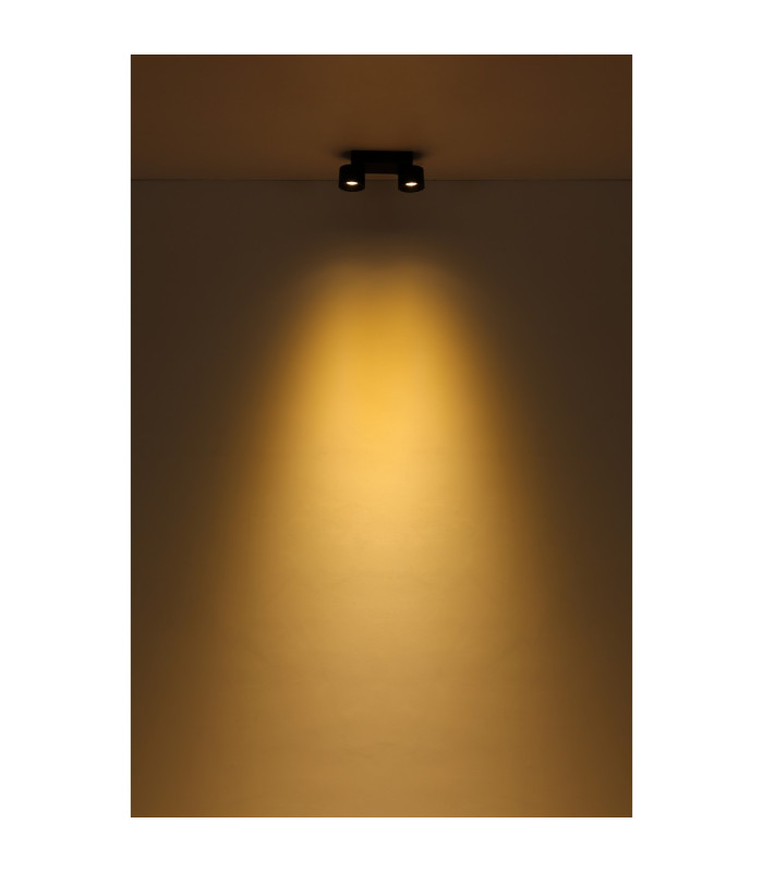 Rae Twin Ceiling Spotlight Matt Black 2x LED 3000K-6
