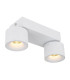 Rae Twin Ceiling Spotlight White Matt 2x LED 3000K-5