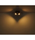 Wenzel Twin Ceiling Spotlight Matt Black 2x GU10-5