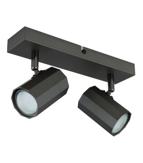 James Twin Ceiling Spotlight Grey Matt 2x GU10-2
