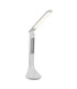 Tyrell Desk Task Lamp White LED 4000K Clock Timer-1