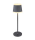 Ridley Bedside Table Lamp Grey Matt IP54 LED Dimmable 3000K Touch Dimmer-1