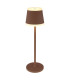 Ridley Bedside Table Lamp Rust Colored IP54 LED Dimmable 3000K Touch Dimmer-1