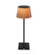 Gregoir Bedside Table Lamp Matt Black Brown IP44 LED Dimmable 3000-4000K Touch Dimmer-3