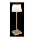 Gregoir Bedside Table Lamp Wood Look Dark IP44 LED Dimmable 3000-4000K Touch Dimmer-5