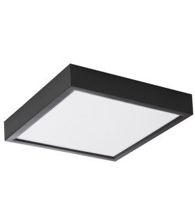 Puccy Flush Ceiling Light Black LED Dimmable 3000K-1