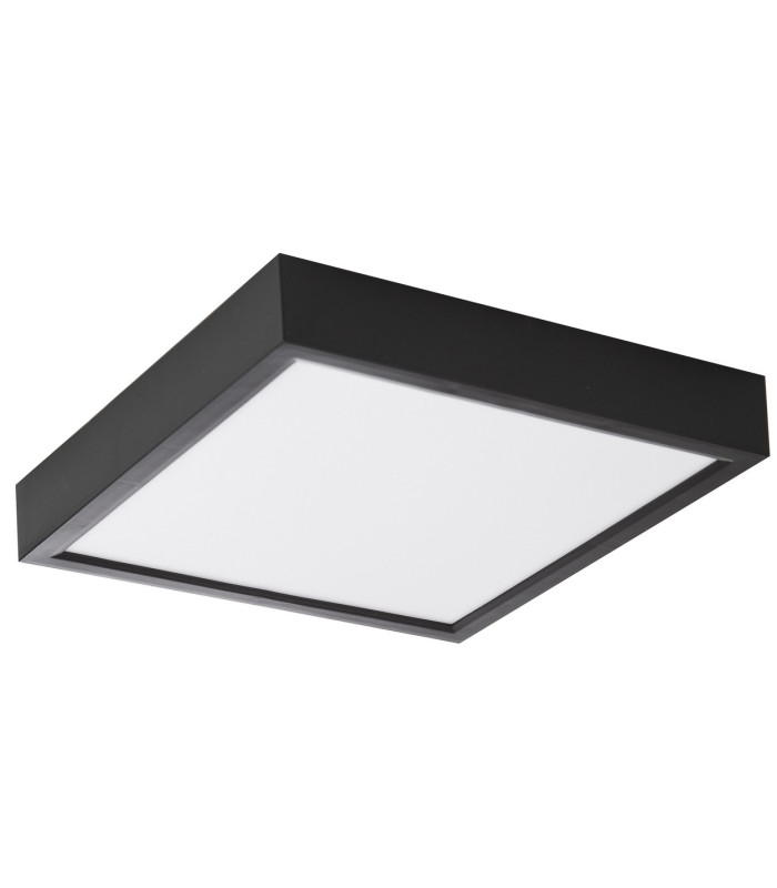 Puccy Flush Ceiling Light Black LED Dimmable 3000K-1