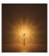 Katrina Glass Table Lamp Gold Colors K9 Crystals 8x G9 3000K-5