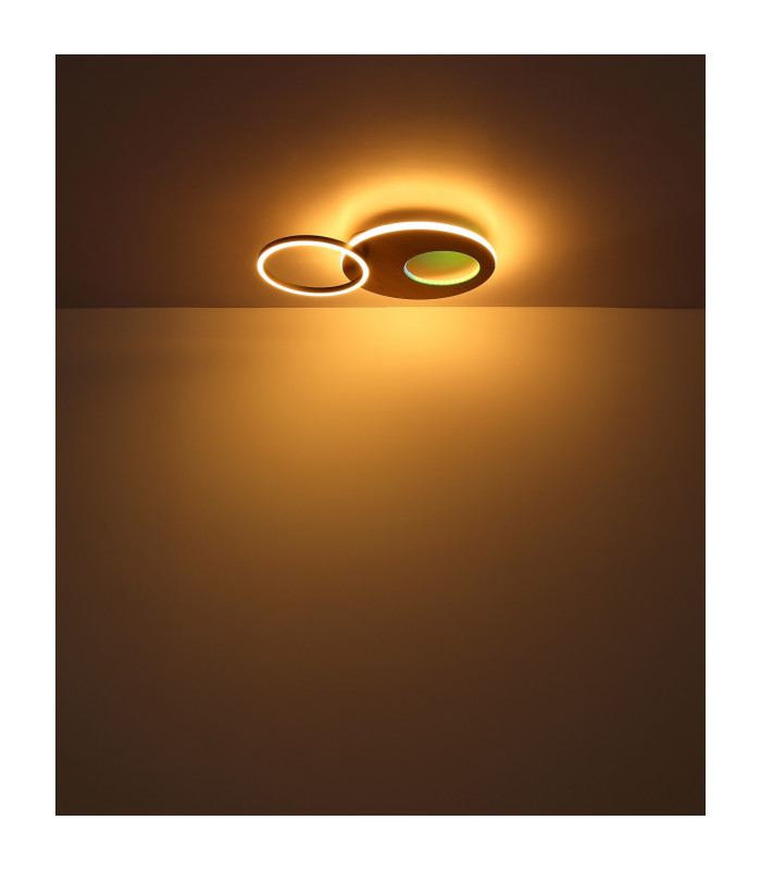 Forsi Integrated LED Semi Flush Ceiling Light White Matt 2x LED Dimmable 3000-6500K Remote Control-16