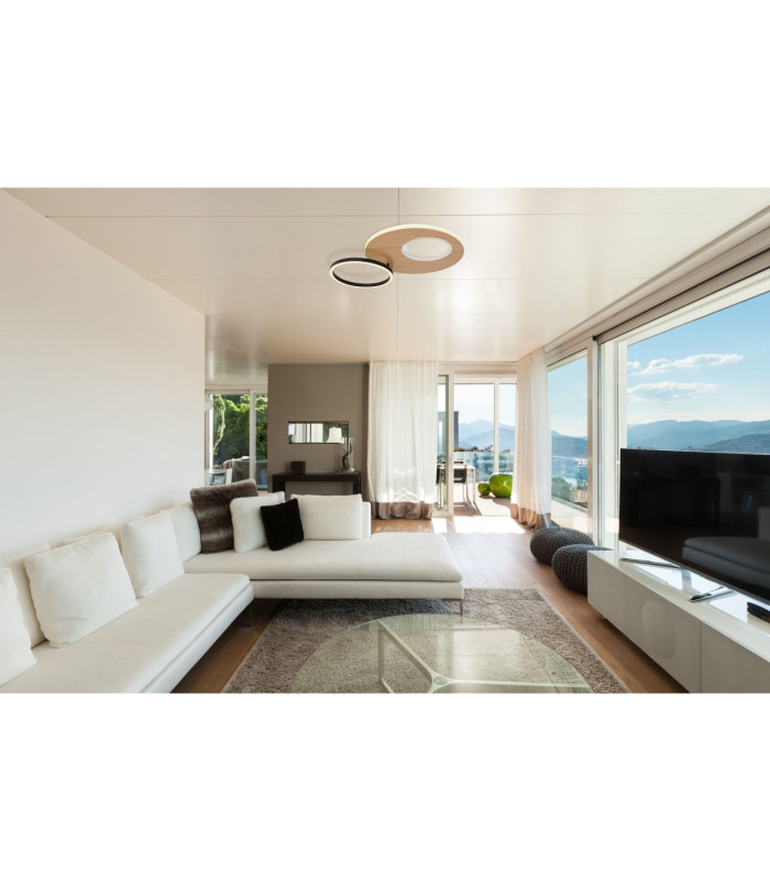 Forsi Integrated LED Semi Flush Ceiling Light White Matt 2x LED Dimmable 3000-6500K Remote Control-19