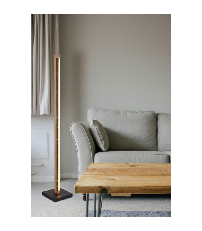 Starla LED Integrated Floor Lamp Matt Black LED 3000K-5
