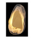 Dorsey Integrated LED Wall Lamp Brass-Coloured Matt Clear Glass Shade LED 3000K-4