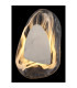 Dorsey Integrated LED Wall Lamp Nickel Matt Clear Glass Shade LED 3000K-5
