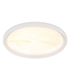 Tyrone Integrated LED Semi Flush Ceiling Light White LED 2700-6000K-1