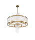 Frame Modern 58cm Cylindrical Pendant Ceiling Light Gold 6xE14 Glass Shade-1