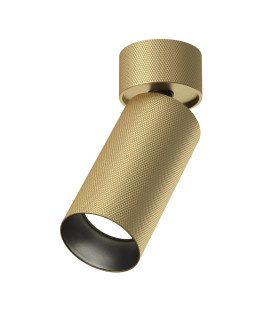 Artisan Adjustable Surface Mounted Downlight Matte Gold 1xGU10-1