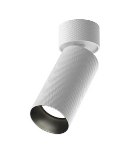 Artisan Adjustable Surface Mounted Downlight White 1xGU10-1