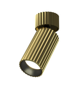 Calipso Adjustable Surface Mounted Downlight Brass 1xGU10-1