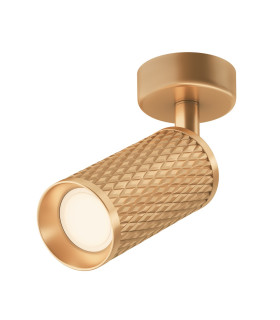Focus Design Single Spotlight Matte Gold 1xGU10-1