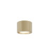 Hydra Surface Mounted Downlight Matte Gold 3000K 650lm IP44-1