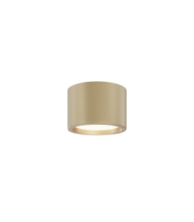 Hydra Surface Mounted Downlight Matte Gold 3000K 650lm IP44-1