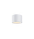Hydra Surface Mounted Downlight White 3000K 870lm IP44-1