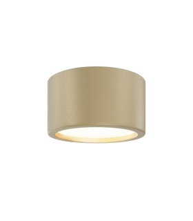 Hydra Surface Mounted Downlight Matte Gold 3000K 1270lm IP44-1