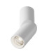 Dafne Surface Mounted Downlight White 4000K 1060lm-1