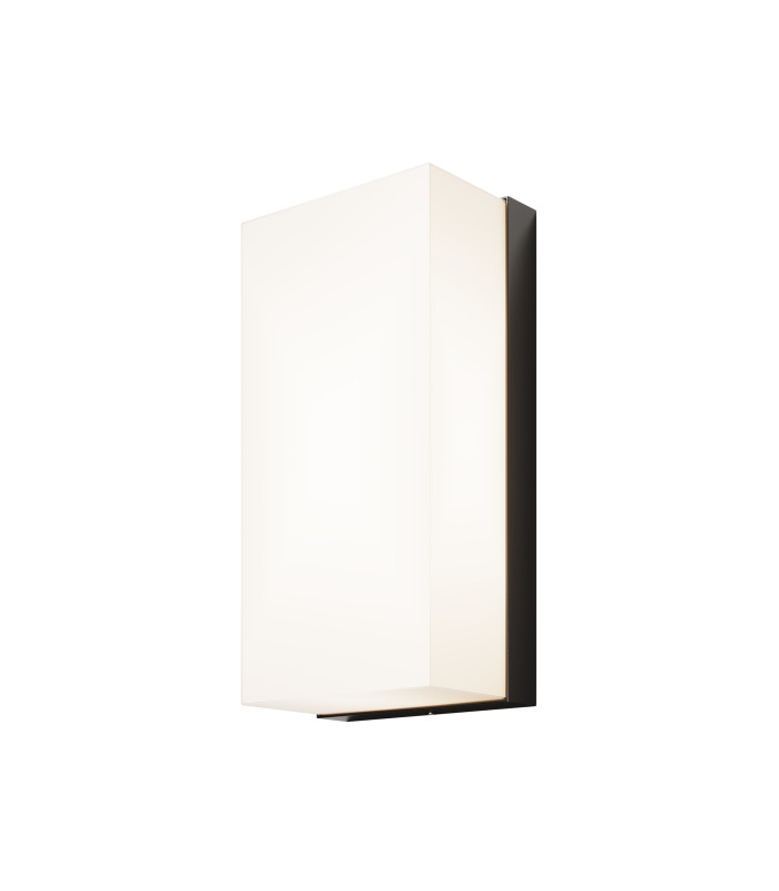 Badd Outdoor Flush Wall Lamp Graphite 3000K 700lm IP54-1