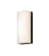 Badd Rounded Outdoor Flush Wall Lamp Graphite 3000K 700lm IP54-1