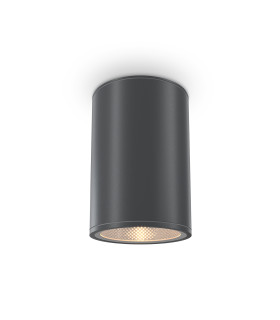 Bar Outdoor Surface Mounted Downlight Graphite 3000K 1300lm IP65-1