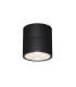 Spin Outdoor Surface Mounted Downlight Graphite 3000K 480lm IP54-1