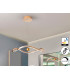 Romina Pendant Ceiling Light Gold LED 2700-5000K Remote Control-1