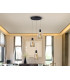 Carisa Cluster Pendant Ceiling 3 Light Black LED 3000K-1