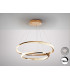 Orbitas Twin Ring Pendant Ceiling Light Gold LED 3000K-1