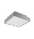 2 Light Small Outdoor Ceiling Light Grey IP65, E27 - 1