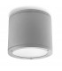 2 Light Outdoor Surface Mounted Ceiling Light Grey IP65 - 1