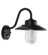 Rome Multi Arm Pendant Ceiling Light Brushed Aged Brass Plate & Clear Glass 6x G9-9